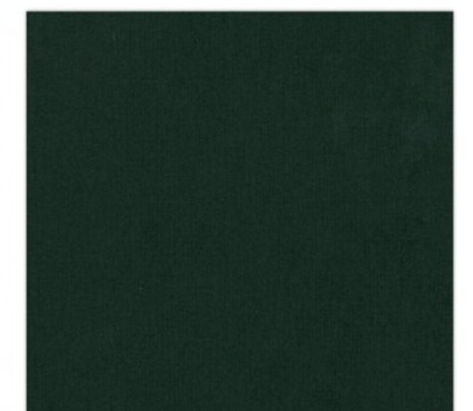 Hovedbilde Kartong - Linen - 12 x 12 inch - 240 g - Forest ...