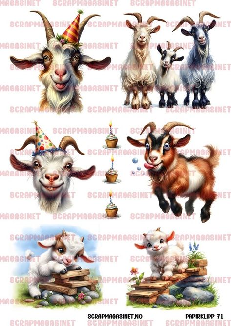 Hovedbilde Scrapmagasinet- Papirklipp 71- Geiter