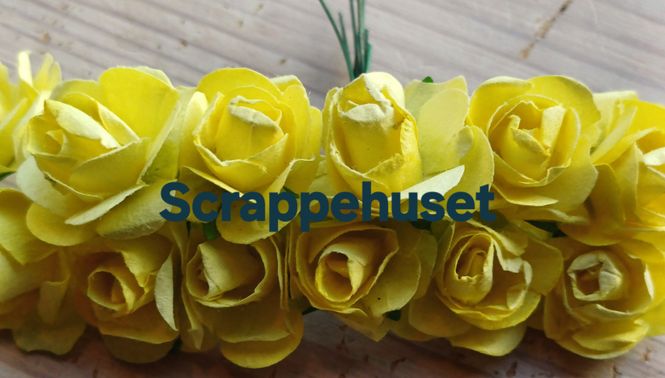 Hovedbilde Gule Roser - SH50