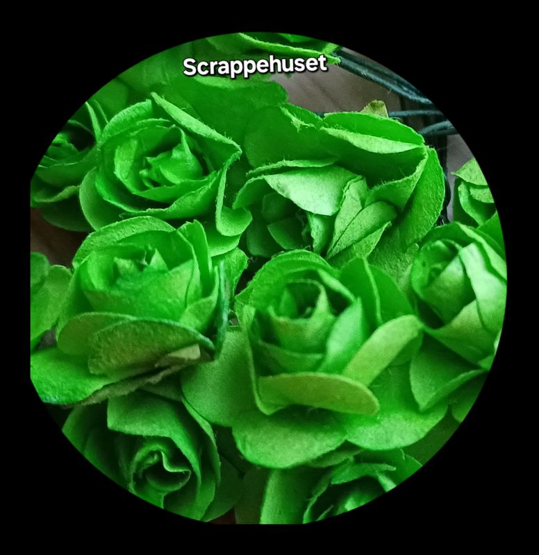 Grønne Roser - SH58