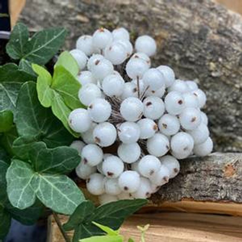 Pyntebær fra Papirdesign hvite med sukker