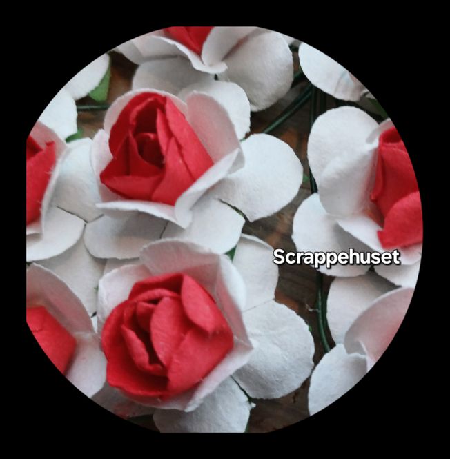 Hovedbilde Hvite Roser med Rød kjerne - SH68