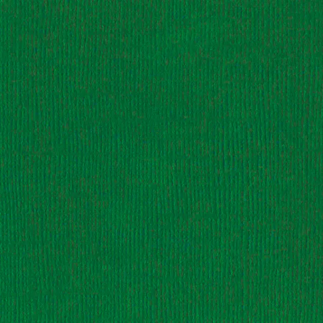 Hovedbilde Bazzill - Canvas- Bazzill Green 12 x 12