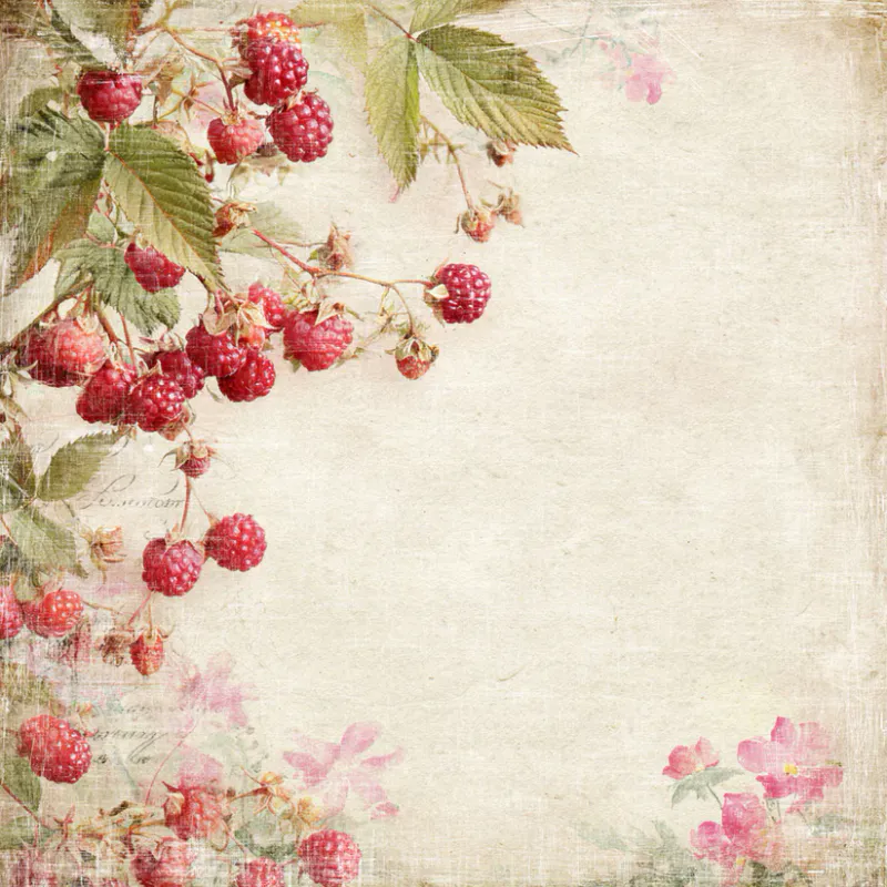  Reprint - Summer Garden Collection -blokk- 8x8inch
