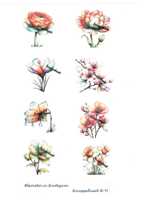Hovedbilde Bildeark- Scrappehuset- Blomster er livets gave- ...